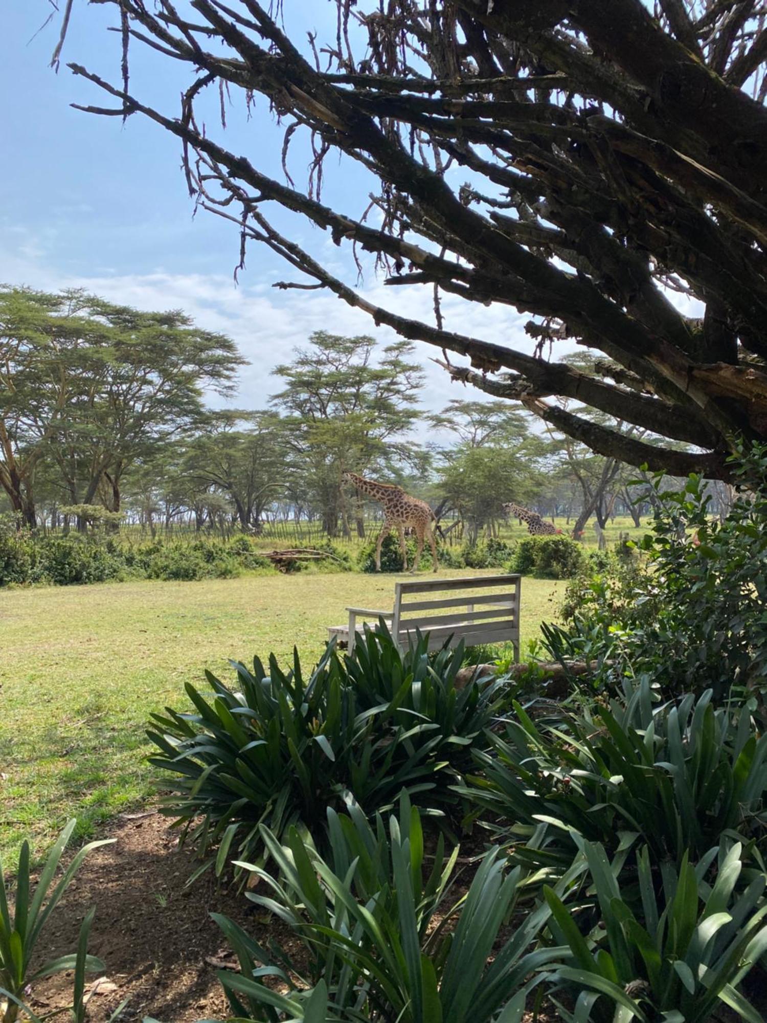 The Sanctuary Farm House Lake View Wildlife Naivasha Exterior photo